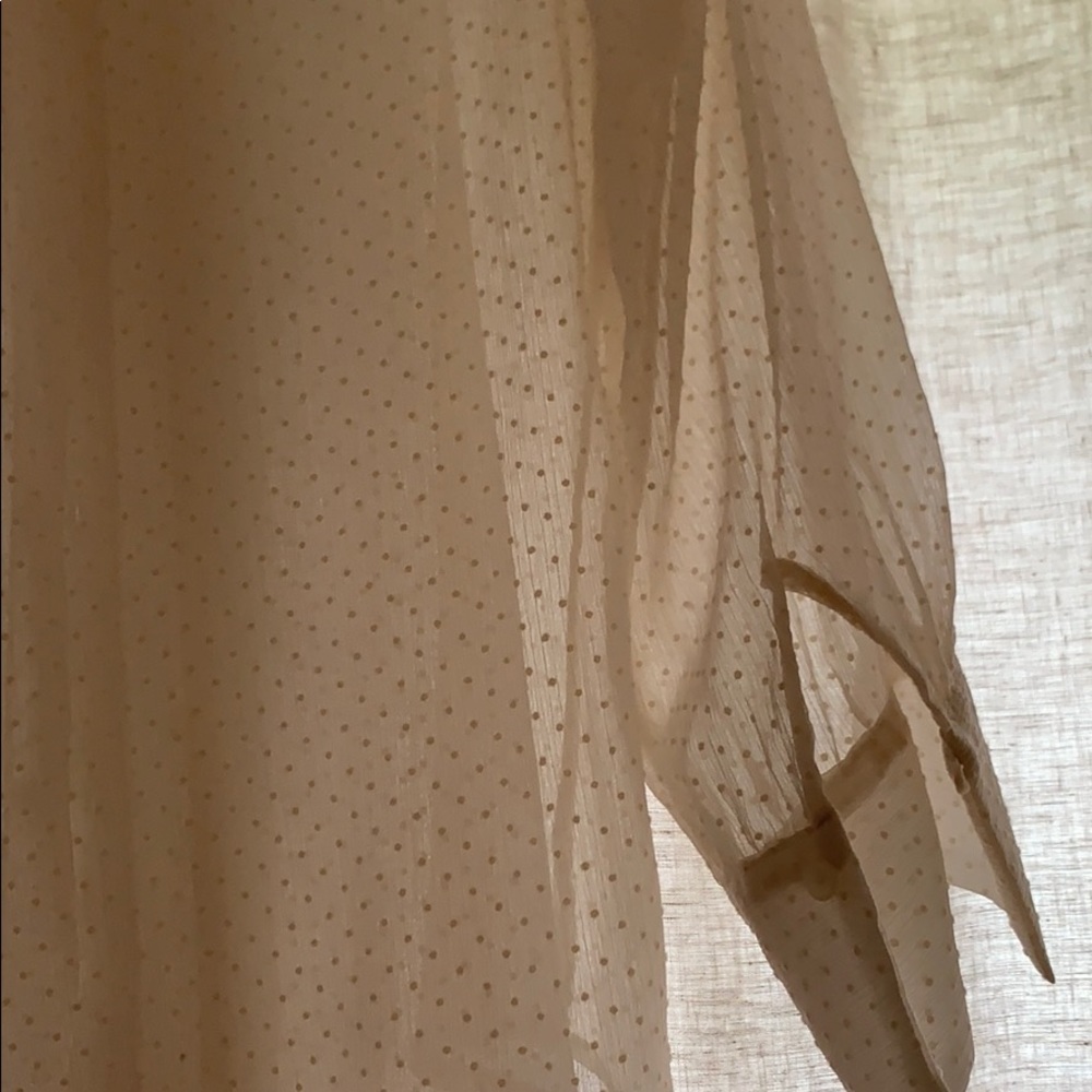 Sheer Button Down Blouse - image 3